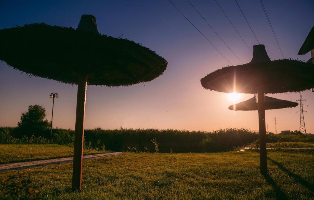 Pensiunea Obretin All Inclusive Mila Douăzeci şi Trei エクステリア 写真